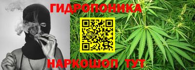 сатива Кулебаки