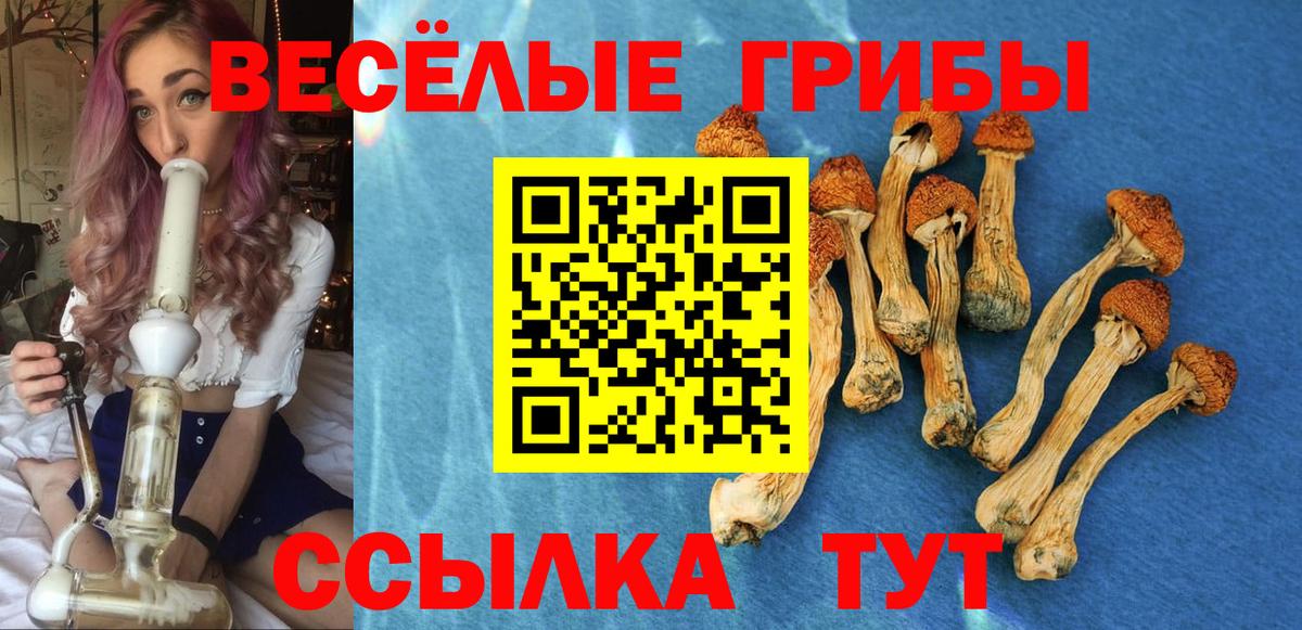 Галлюциногенные грибы GOLDEN TEACHER  Галлюциногенные грибы Psilocybine cubensis  Усть-Джегута  Вход с VPN 